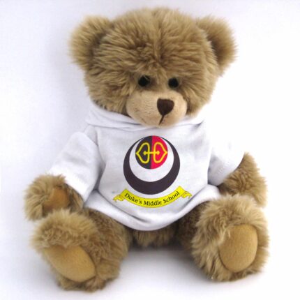 fully jointed school bear with hoodie