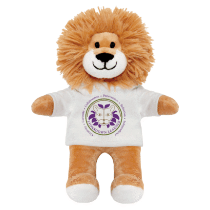 Lyonsdown lion teddy