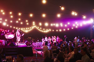 personalised bears gala fundraiser