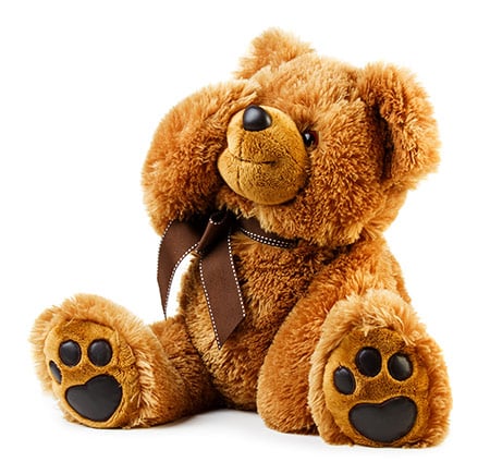 Customised Teddy Bears