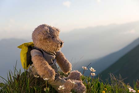 Personalised Bear