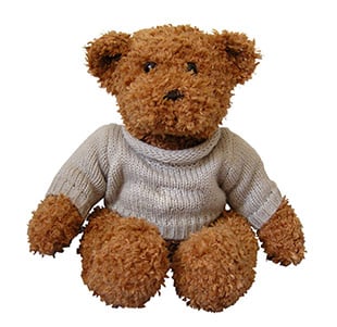 How To Make Teddies
