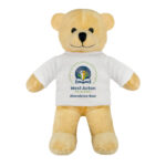 henry light brown attendance bear