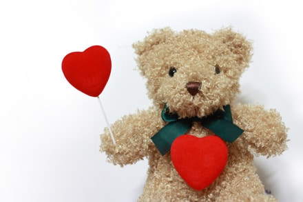 mothers day teddies
