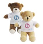 Nottingham NHS Standard Bear