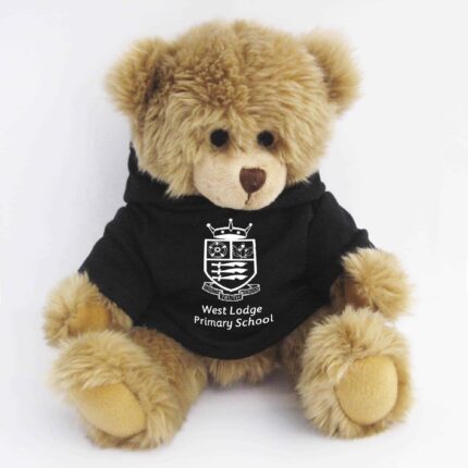 fully jointed bear with hoodie