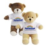 charity teddy bears