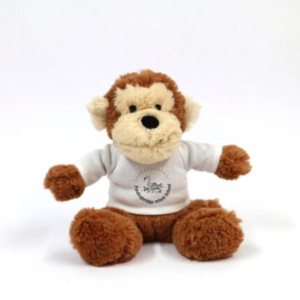 Personalised Small Monkey Teddy