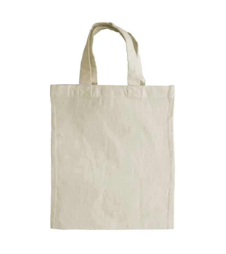 small-tote-bag small tote bag