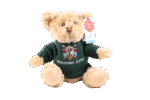 Personalised Teddy Bear Dougie Eco Bear - Image 4