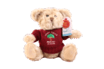 Personalised Teddy Bear Dougie Eco Bear - Image 2