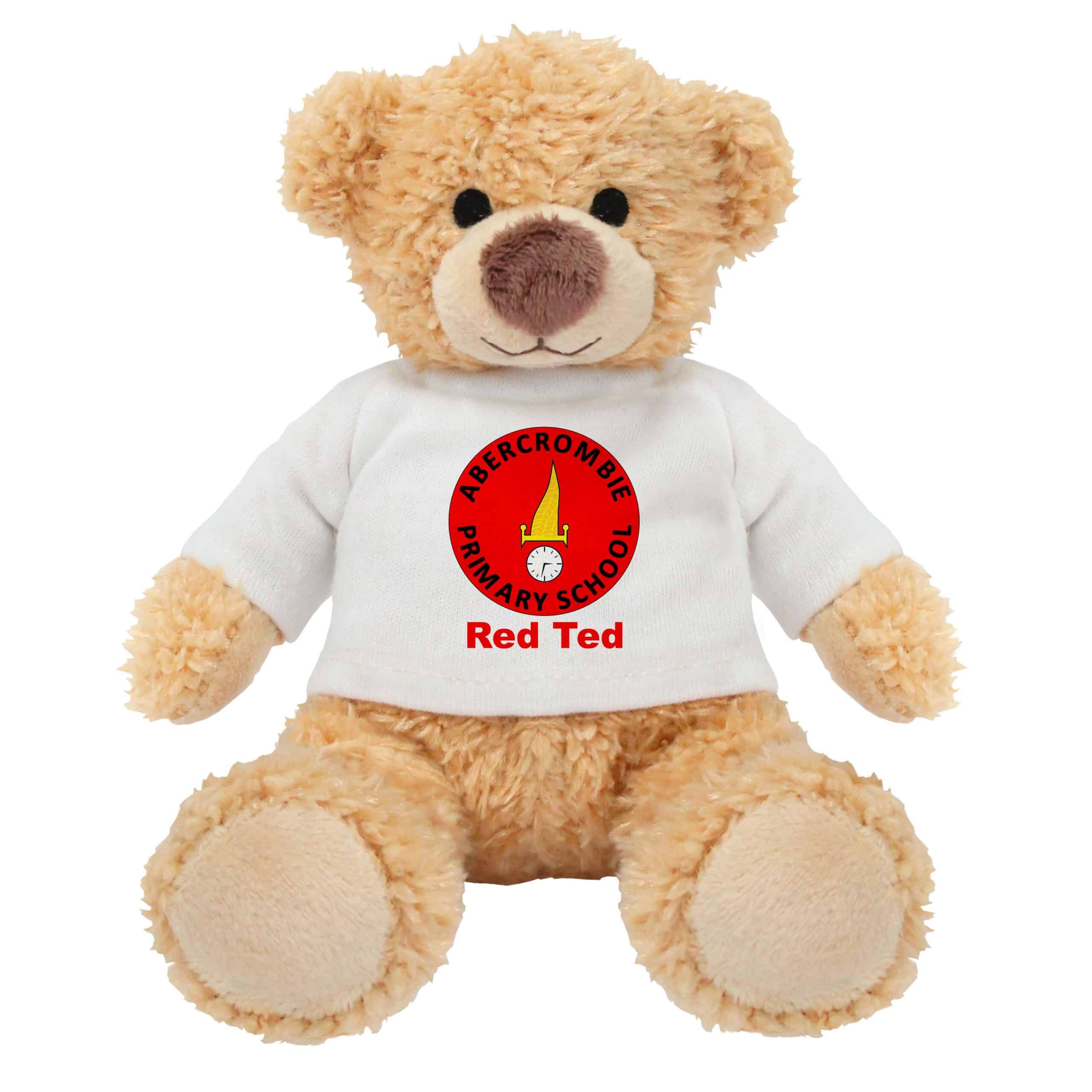 Abercrombe-Primary-School-harry506293-scaled-1.jpg harry teddy red ted