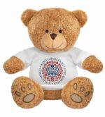 Coronation Edward DB teddy