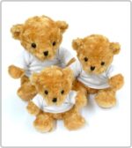 Victoria bears family group image