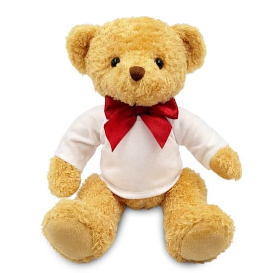 William Teddy bear blank