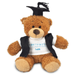 Graduation Anne Teddy Bear - Image 3