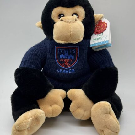 chimp teddy