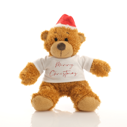 Christmas Anne Teddy