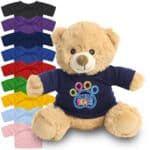 20cm Catherine Brown Bear with coloured t-shirt
