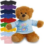 17cm Anne Bear with coloured t-shirt