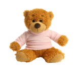 17cm Anne Bear with coloured t-shirt - Image 10