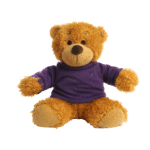 17cm Anne Bear with coloured t-shirt - Image 3