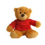 17cm Anne Bear with coloured t-shirt - Image 7