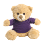 20cm Catherine Brown Bear with coloured t-shirt - Image 5