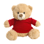 20cm Catherine Brown Bear with coloured t-shirt - Image 4